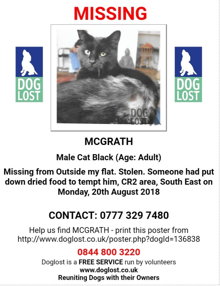 Missing Pets GB tweet media