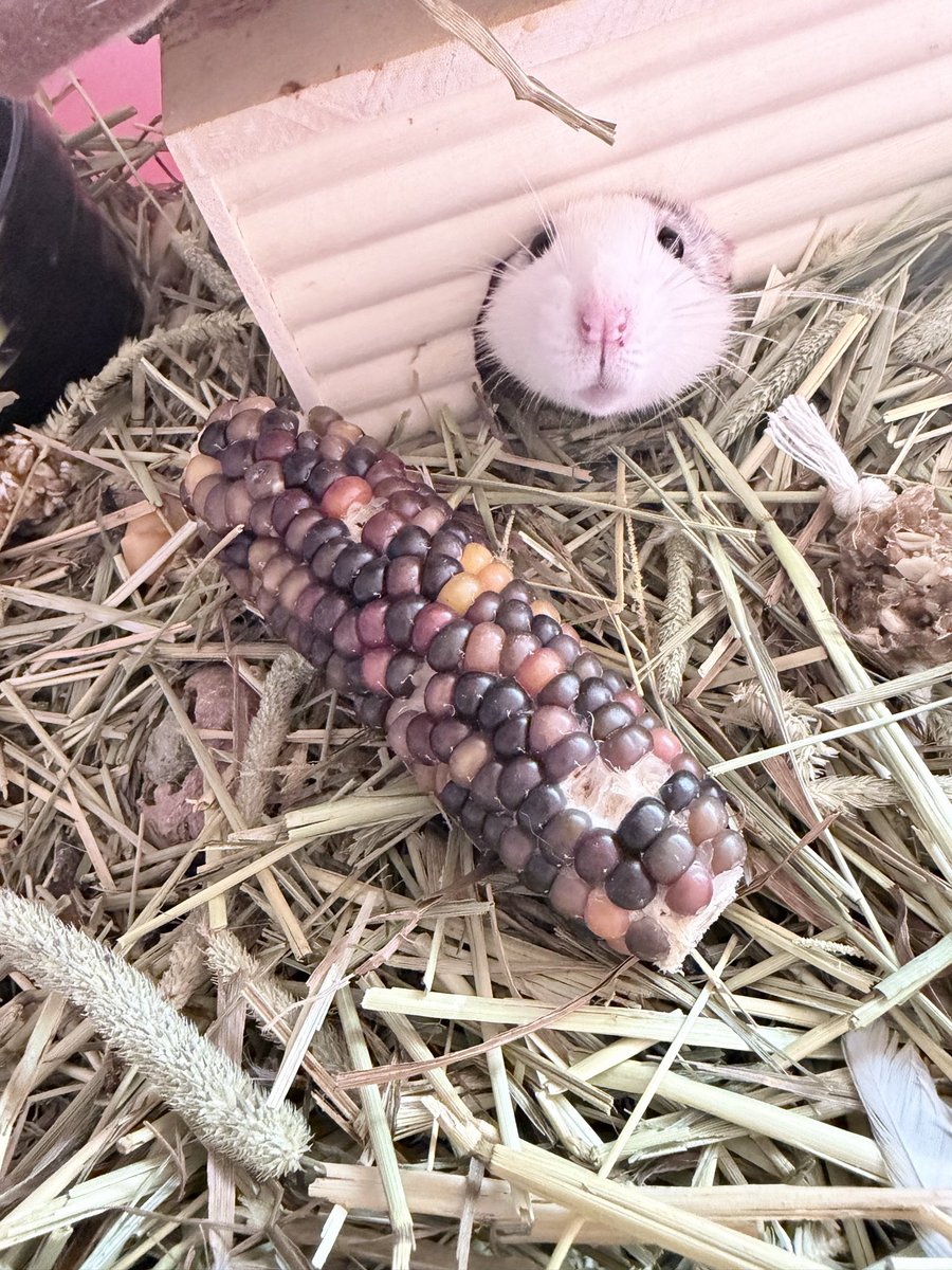 さとみん❤️‍🩹 tweet media