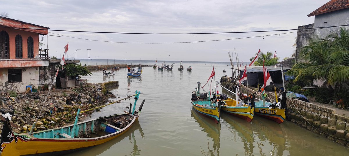 muchlis a rofik tweet media