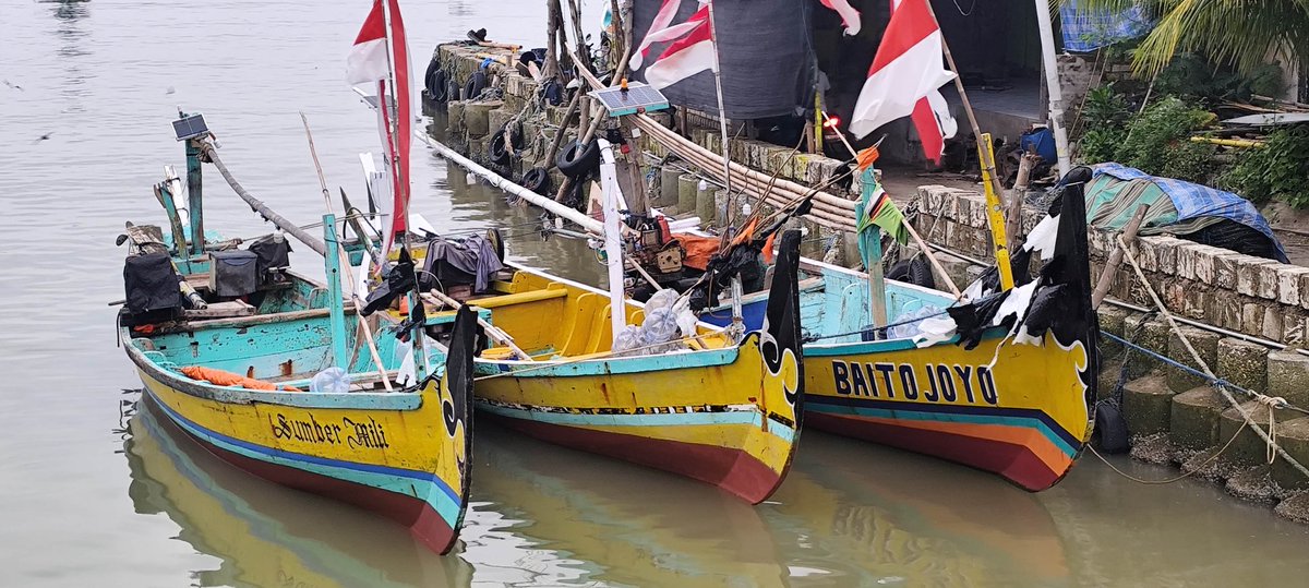 muchlis a rofik tweet media