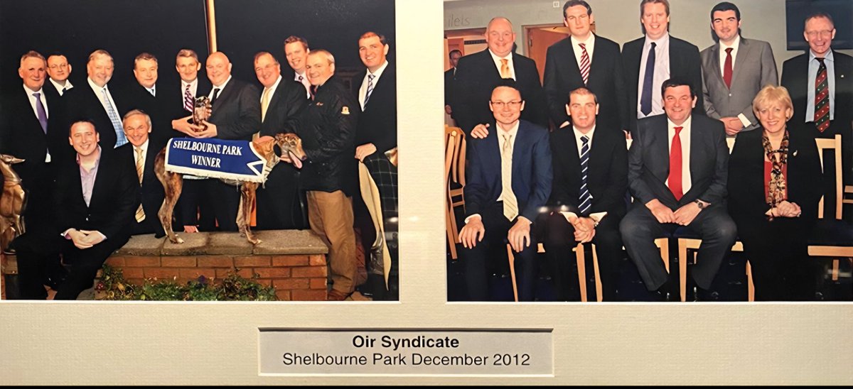 Greyhound Action Ireland tweet media