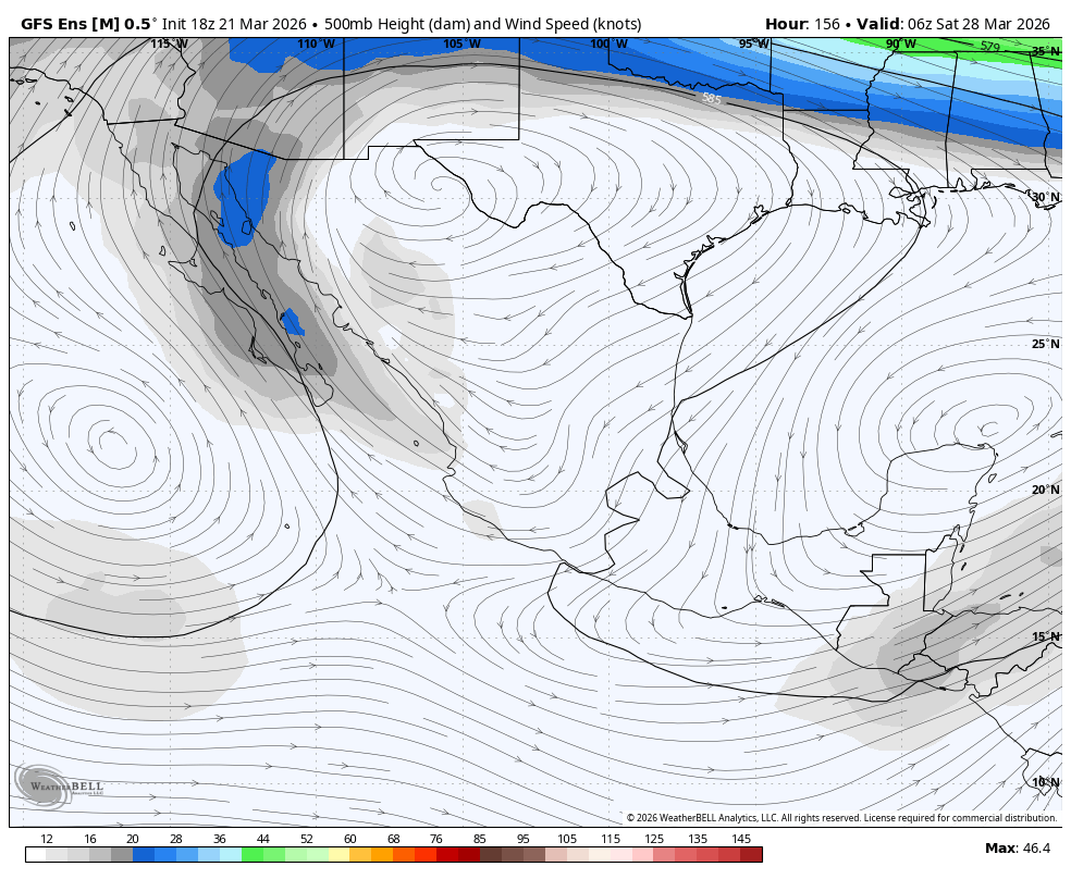 SinaStorm MX tweet media