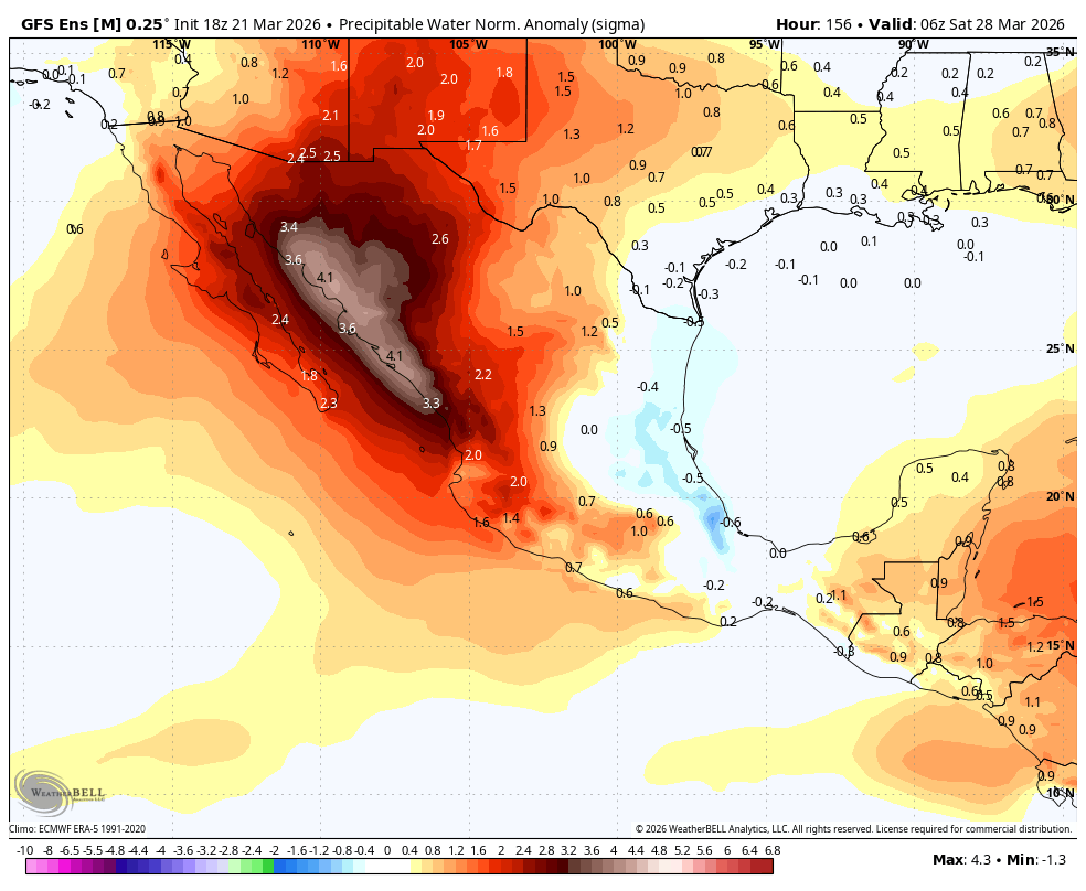 SinaStorm MX tweet media