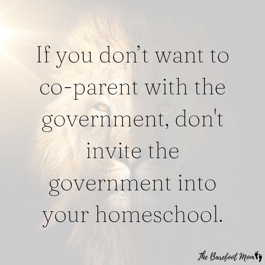 Libby Settle tweet media