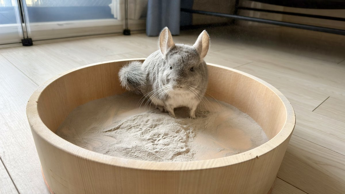 ペペロンチーノくん tweet media