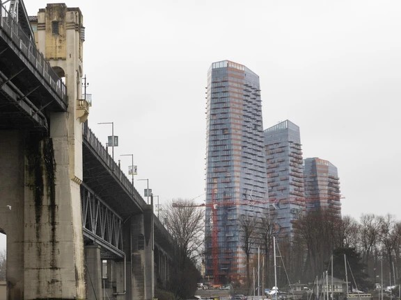 Coconut Tree City 🥥🌴 (threads: @yinyang_yo_) tweet media