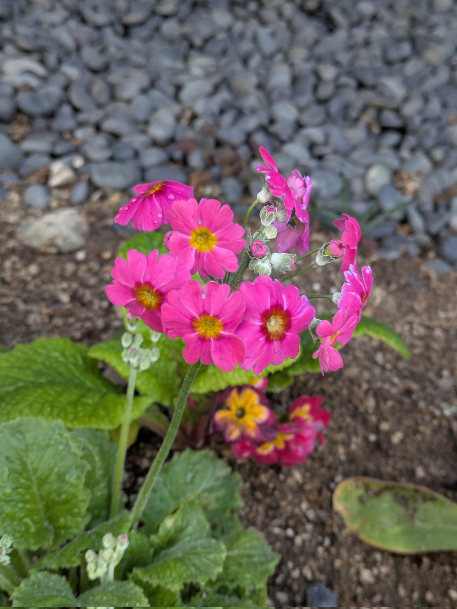 HAJIME KANAI tweet media