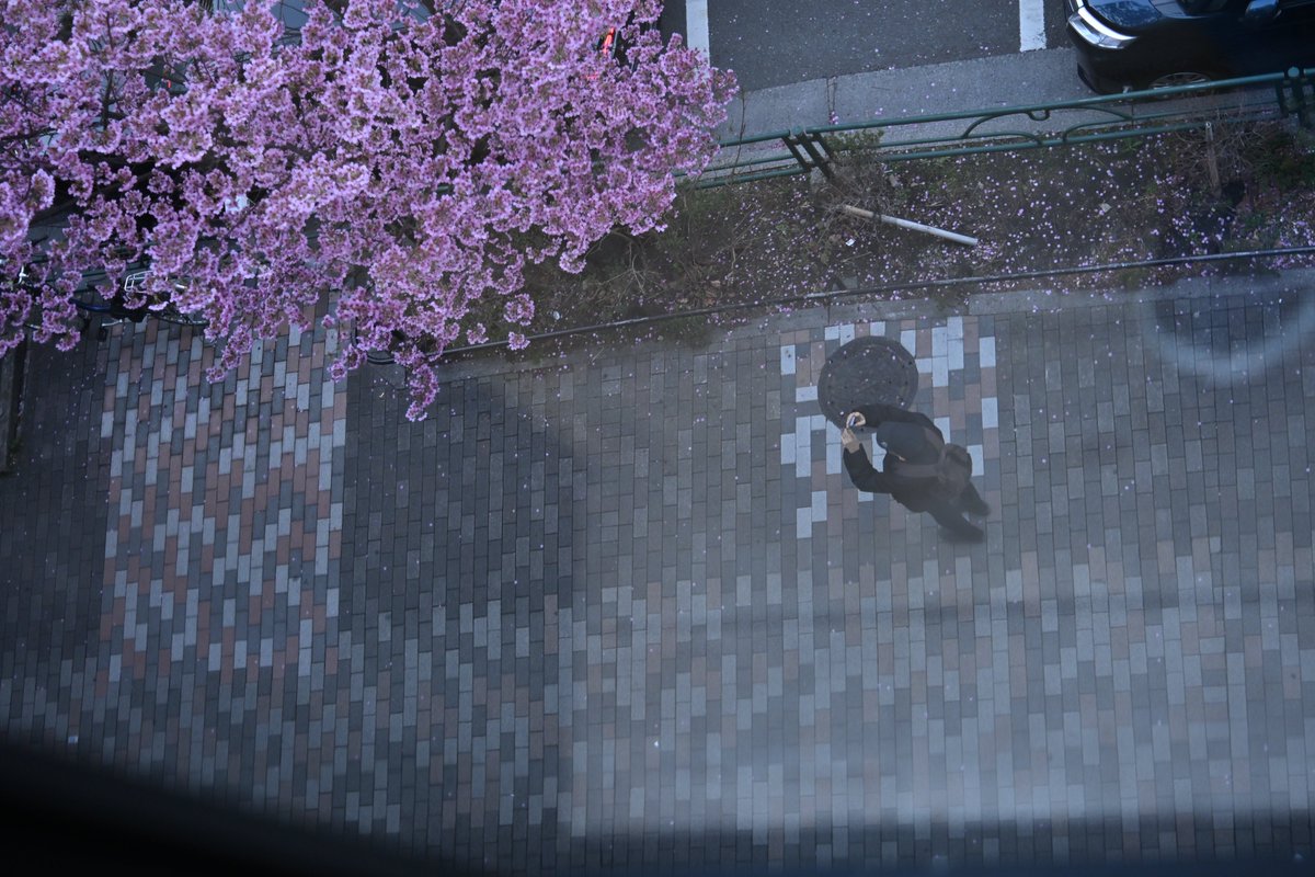 休ぱす tweet media