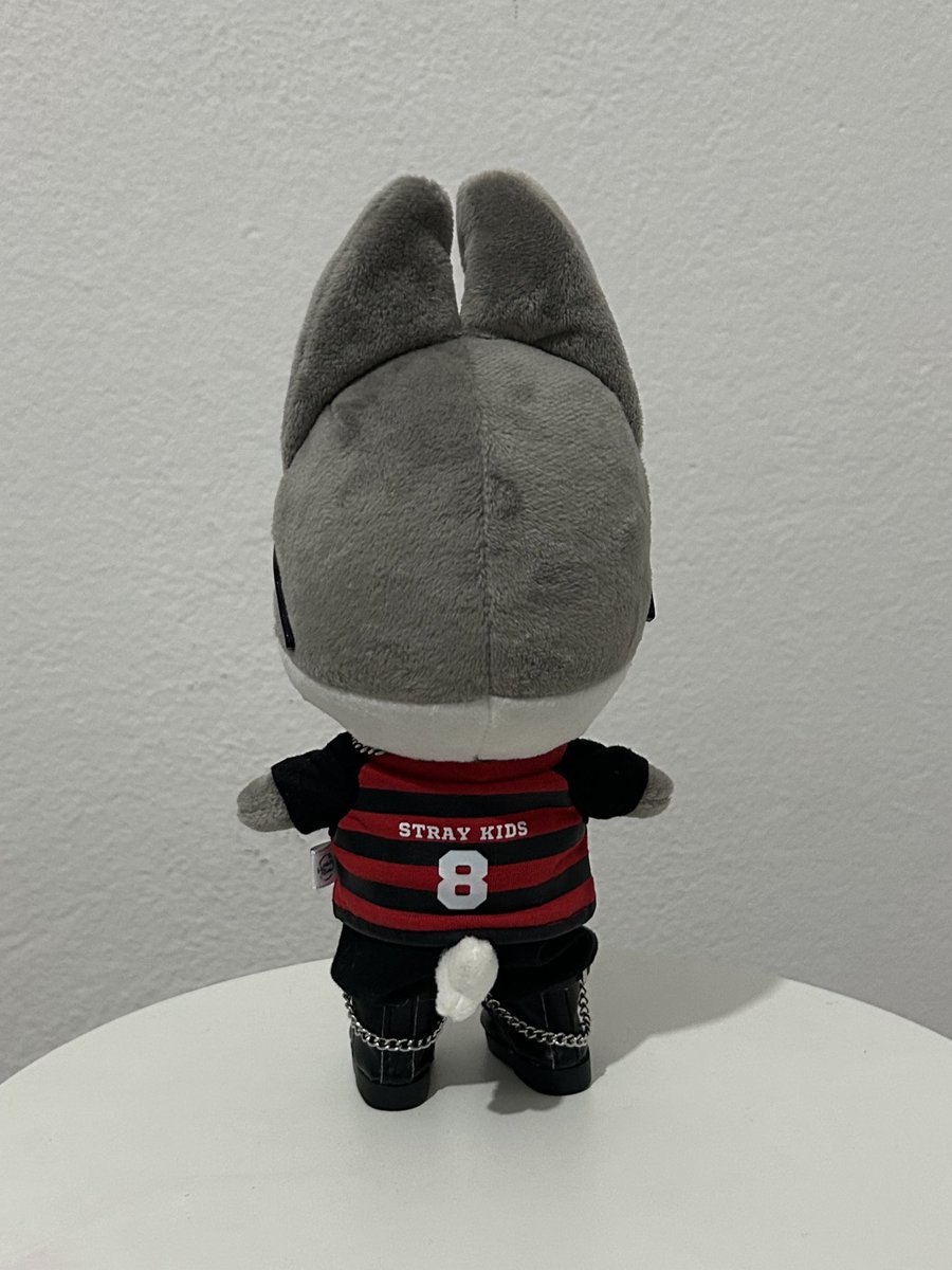 livia 🐺 VAI VER O SKZ DNV tweet media