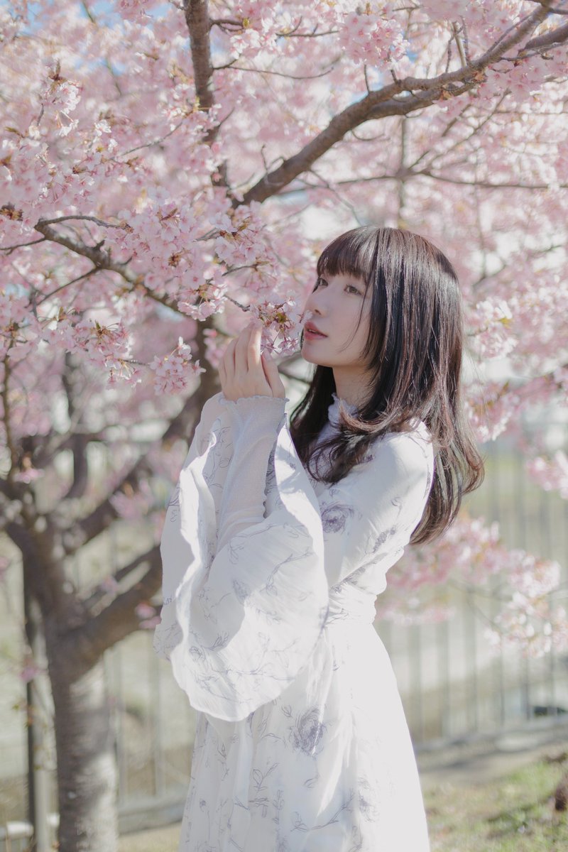 Model  大坂あいさん
#ピスタ撮影会
<a href="/Pista_portrait/">ピスタ｜ポートレート&グラビア</a>
#ポートレート #Portrait
#ポートレート好きな人と繋がりたい
#桜