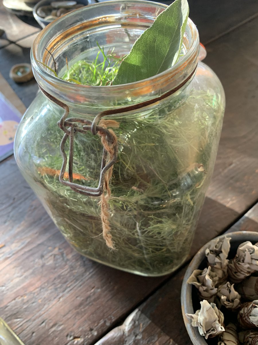 Helen Driscoll tweet media