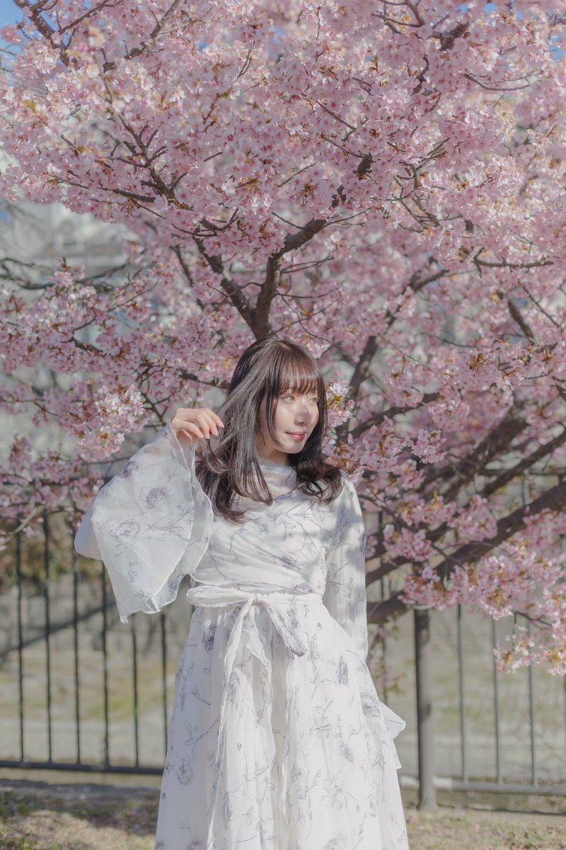 Model  大坂あいさん
#ピスタ撮影会
<a href="/Pista_portrait/">ピスタ｜ポートレート&グラビア</a>
#ポートレート #Portrait
#ポートレート好きな人と繋がりたい
#桜