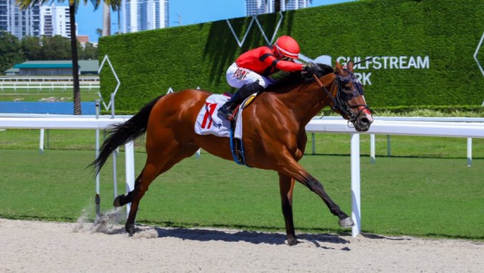 Gerson Racing tweet media