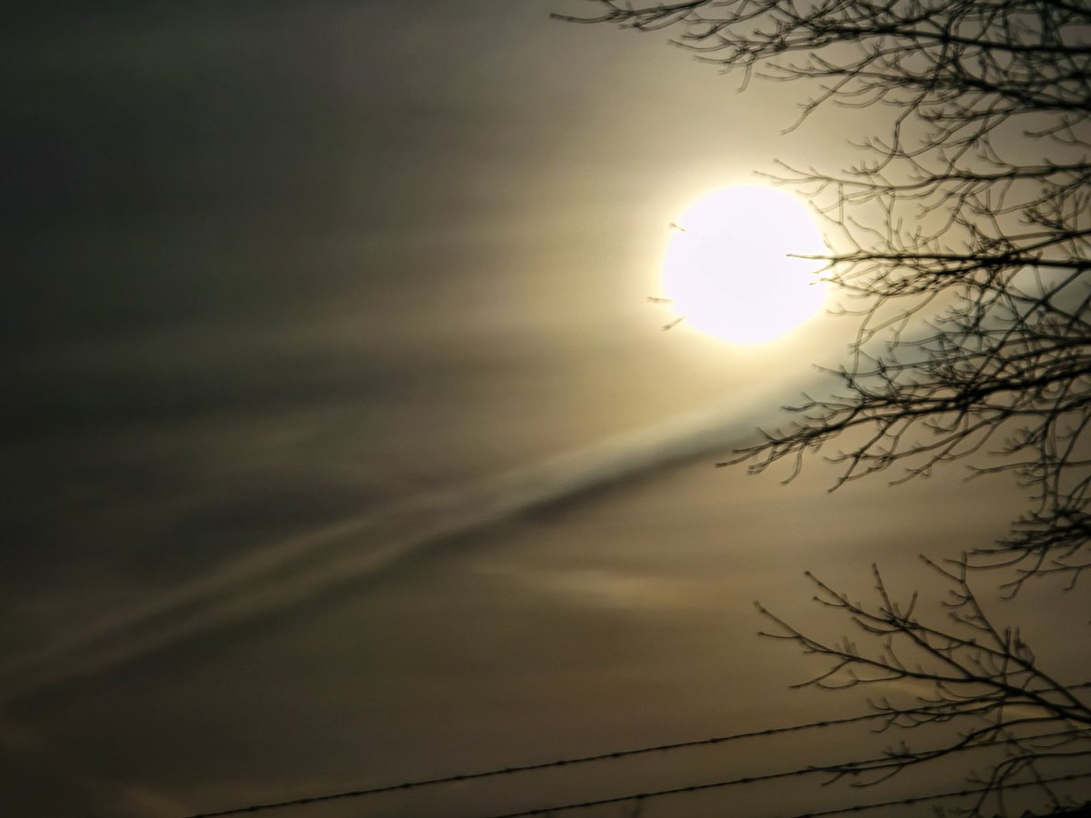 Jesse Lynn♥️ tweet media