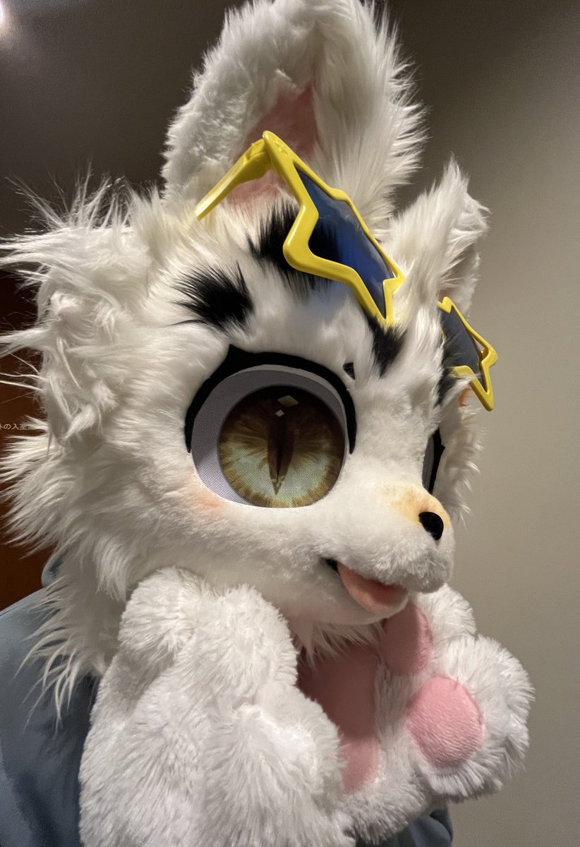 🐻荒熊ヒロ🦝🔰🇯🇵🇵🇭(NEXT→未定)マイペースに浮上 tweet media