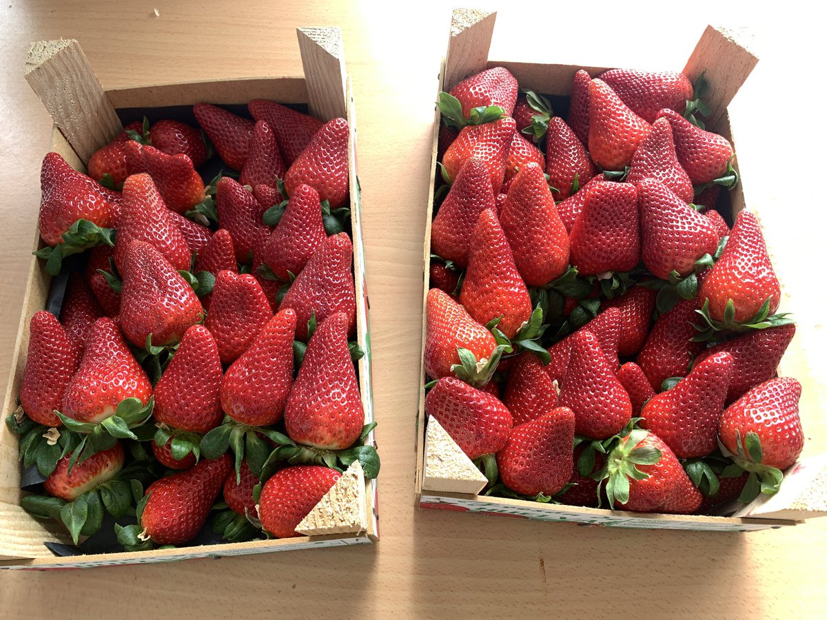 José María Vázquez tweet media