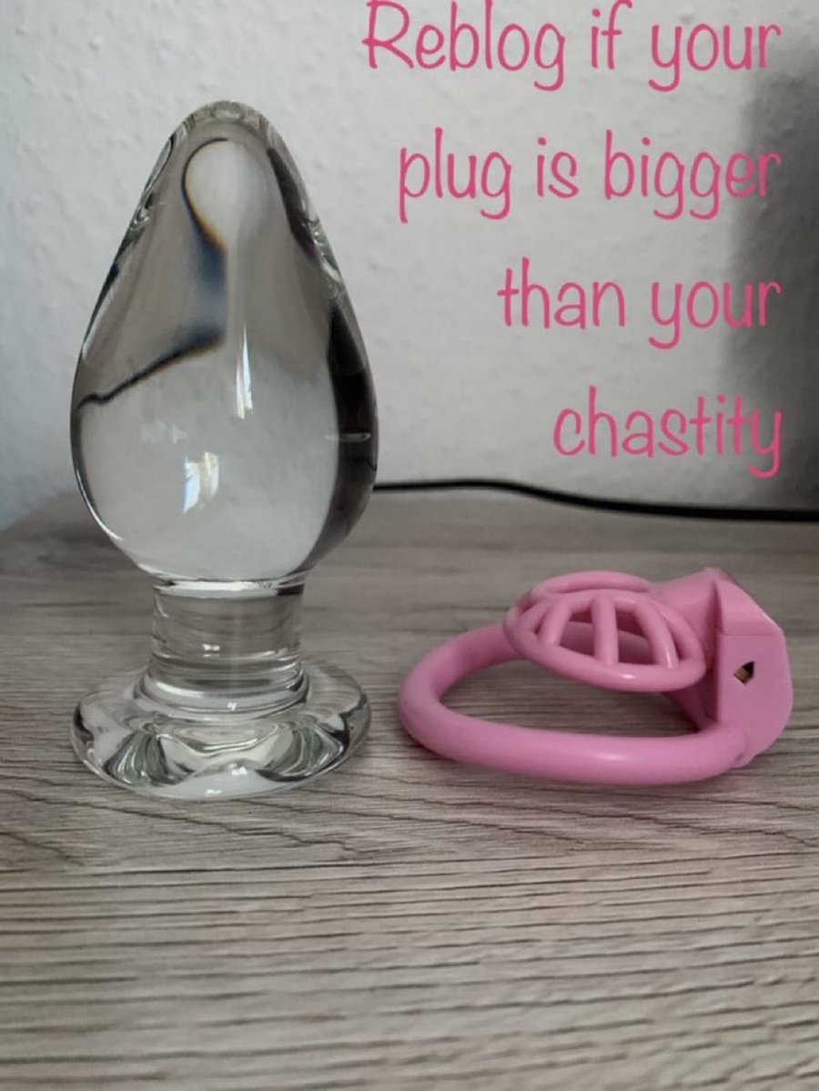 THE PERFECT SISSY FEMINIZATION SCHOOL 👯 tweet media