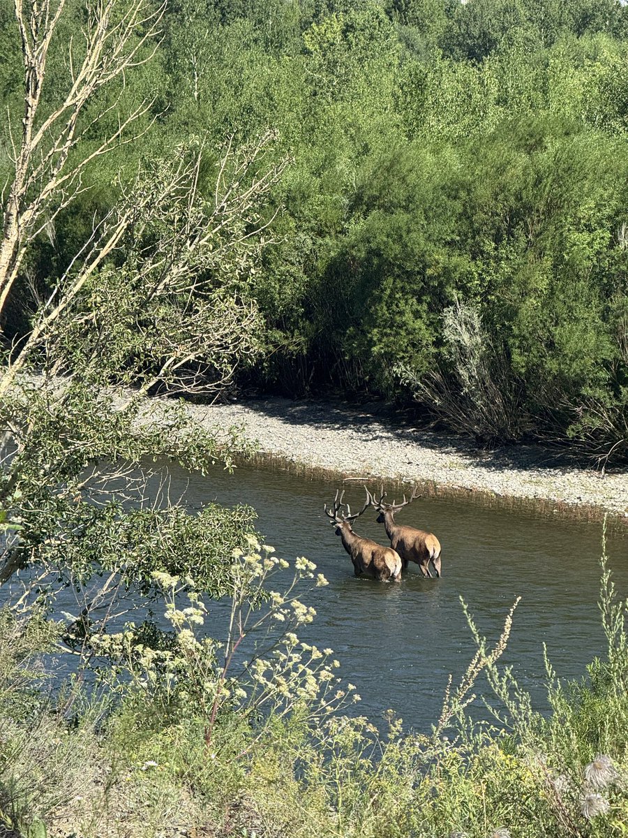 Amaraa⚘️eemegtei ⚘️ tweet media