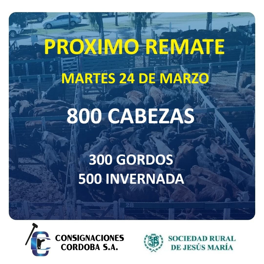 Consignaciones Córdoba SA tweet media