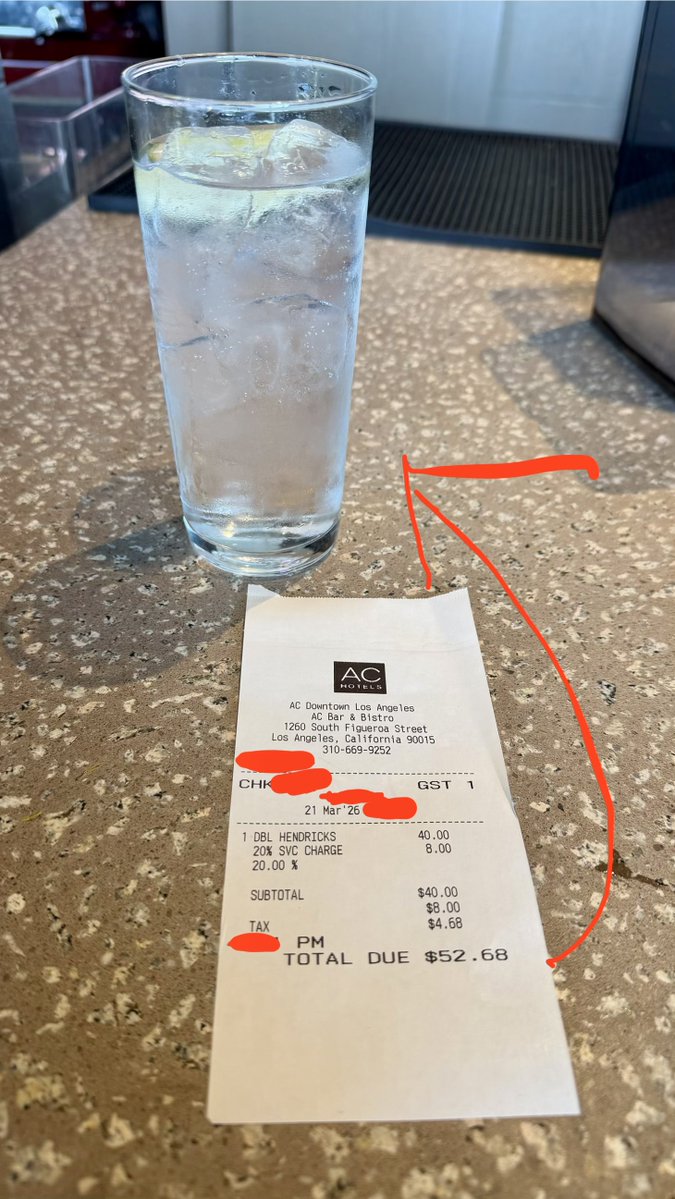 Stella X tweet media