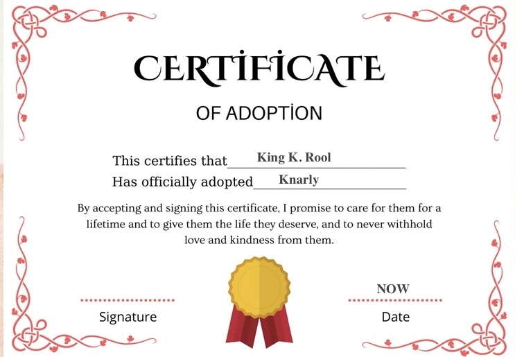 🏝️Knarly Kremling 🐊 tweet media