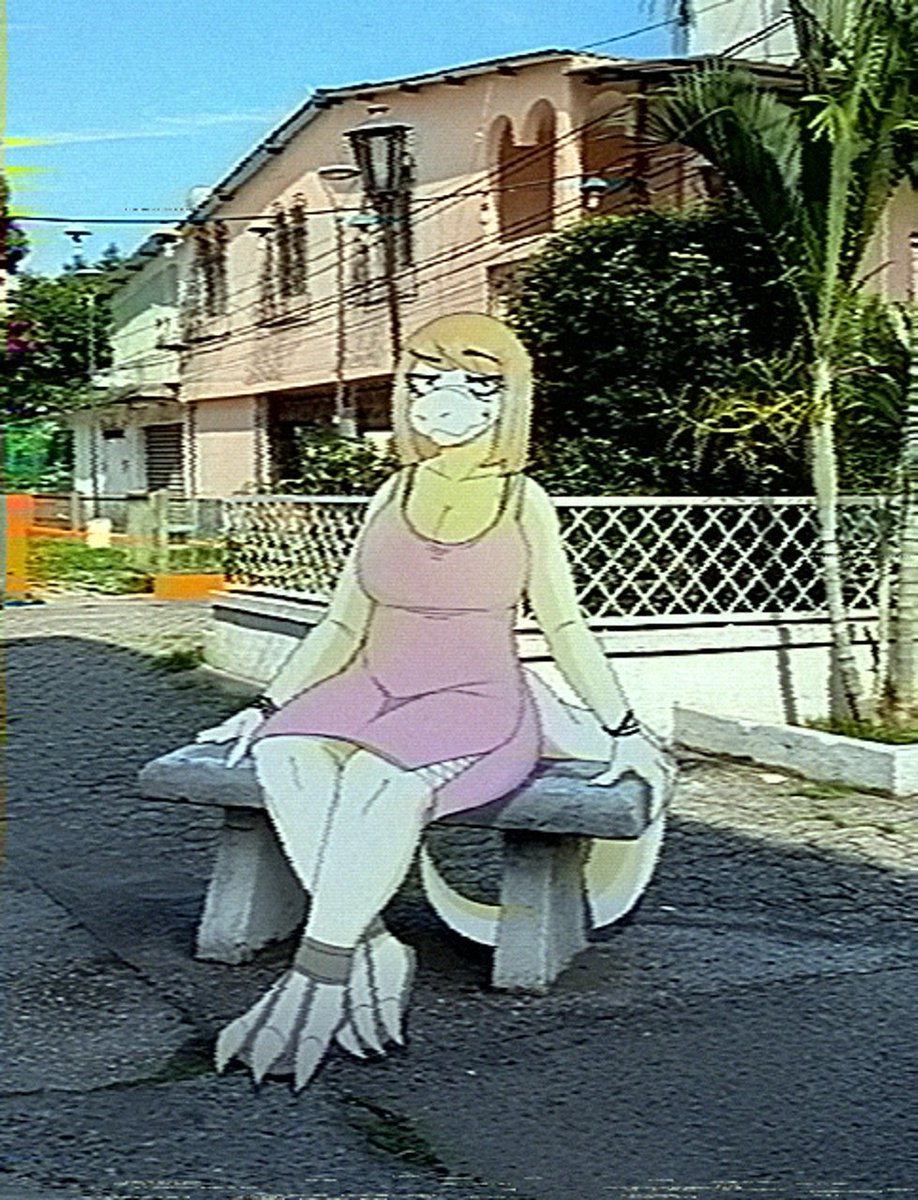 MapacheMistico tweet media