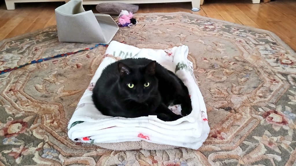 Whoa! Shut It Down tweet media