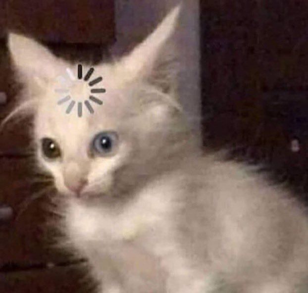 reflexivity ツ tweet media