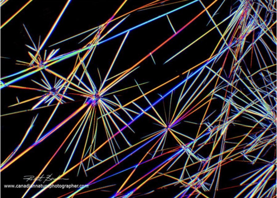 JenOakie42💫 tweet media