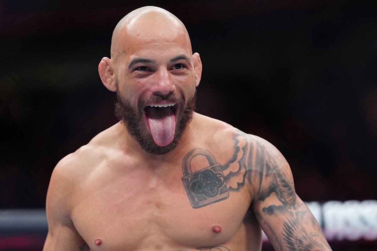 José Louis tweet media