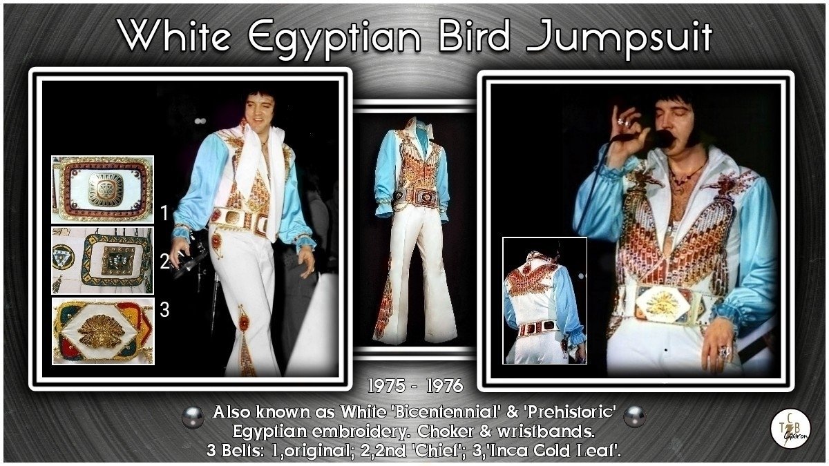 Elizabeth Macpherson tweet media