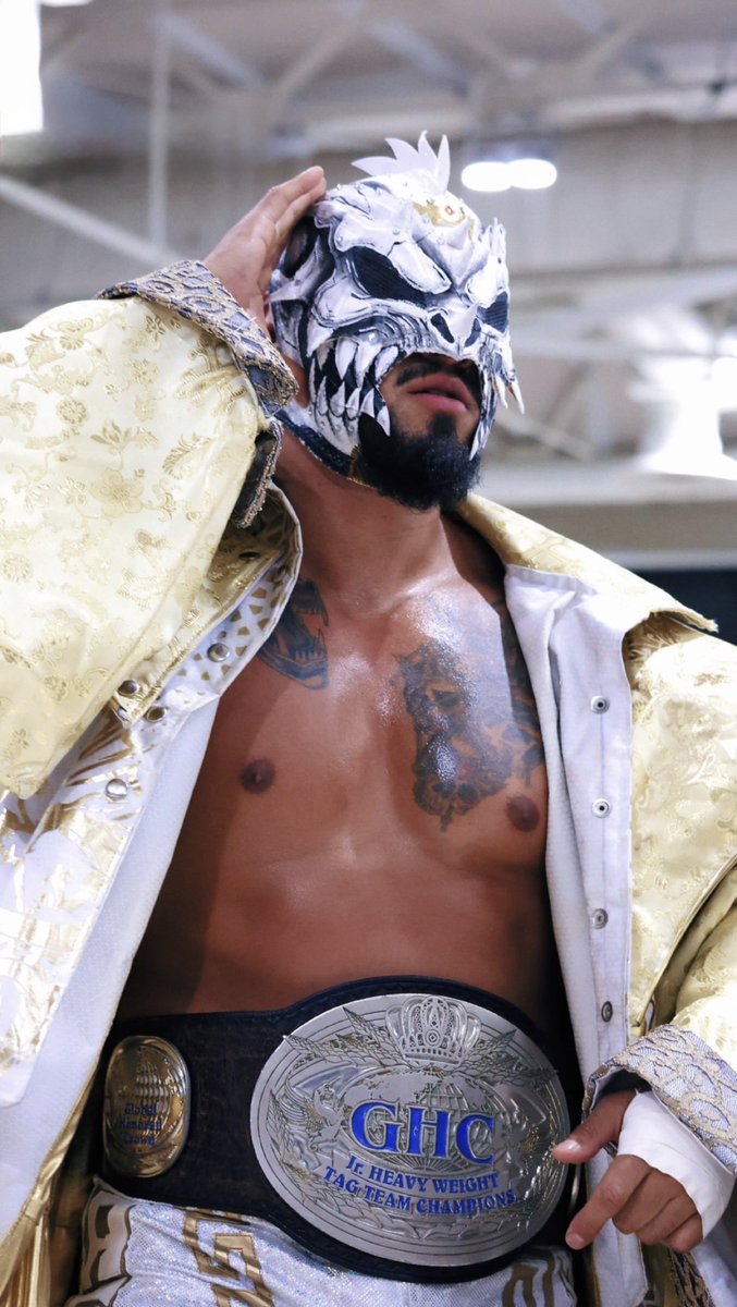 Dragon Bane Wrestler tweet media