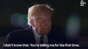 ThrowBackFrog tweet media