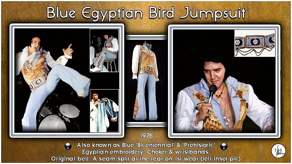 Elizabeth Macpherson tweet media