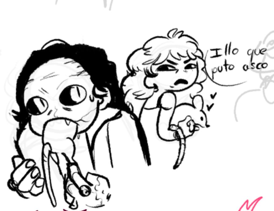 Nereeitor 🐍 tweet media