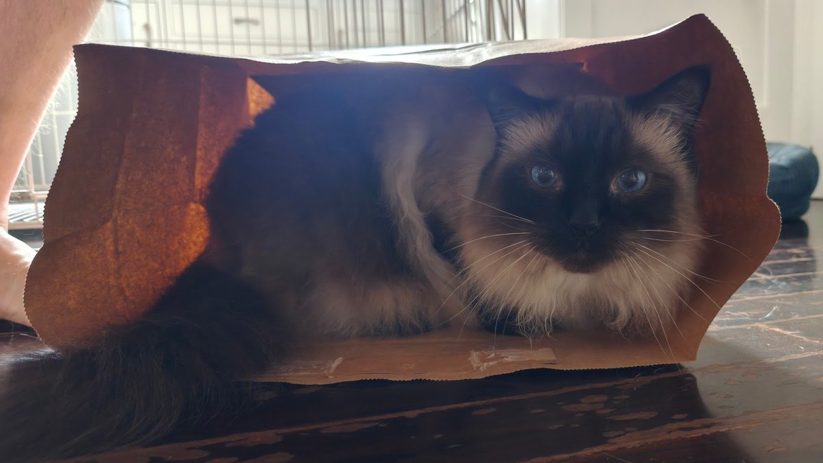 Based Deck Department tweet media