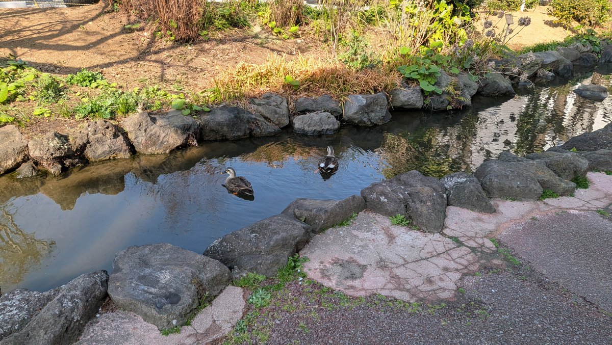 水先じょん子 tweet media