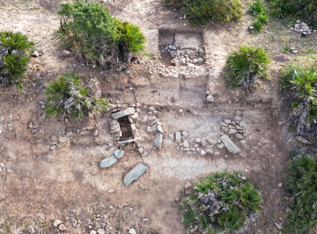 Jujo🌿 tweet media