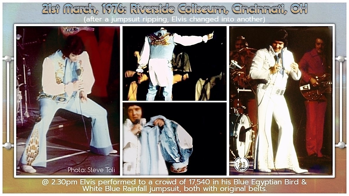 Elizabeth Macpherson tweet media