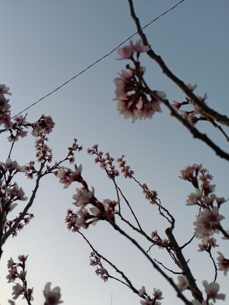 紡ちさと tweet media