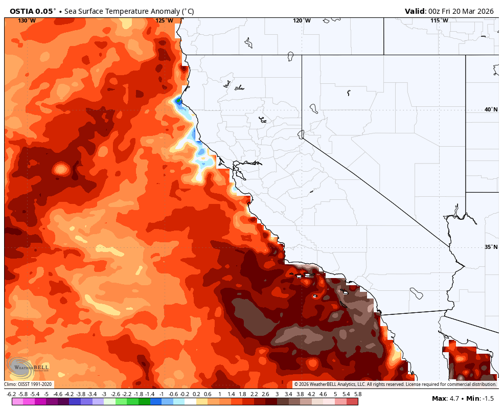 Colin McCarthy tweet media