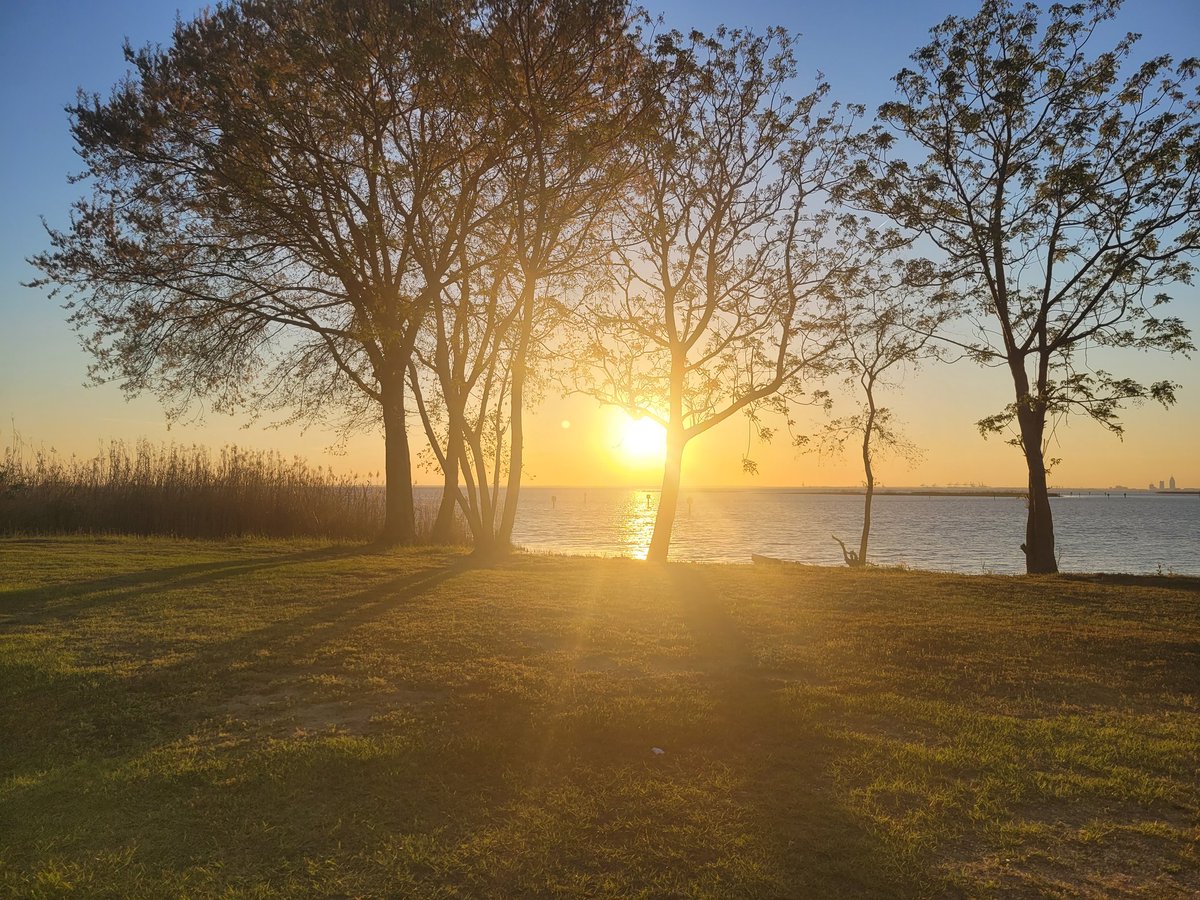 Karen Melton ⚡️🎶🤘 tweet media