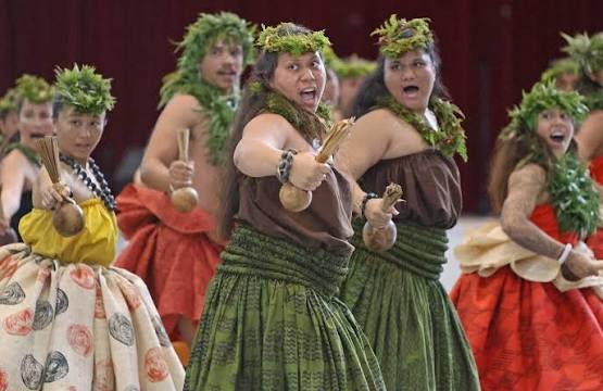 internet.lol tweet media