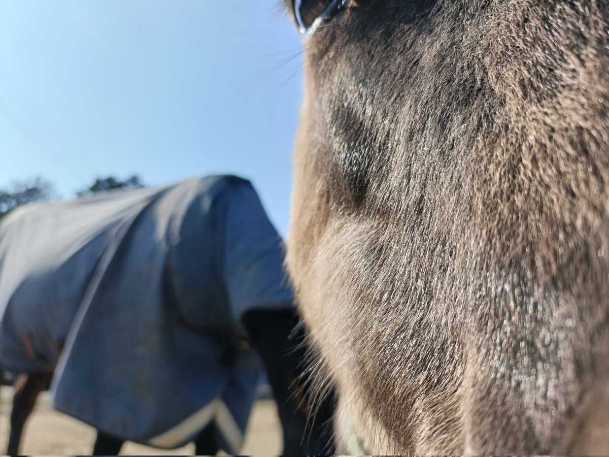 厩舎みちくさ 南相馬市小高区 tweet media