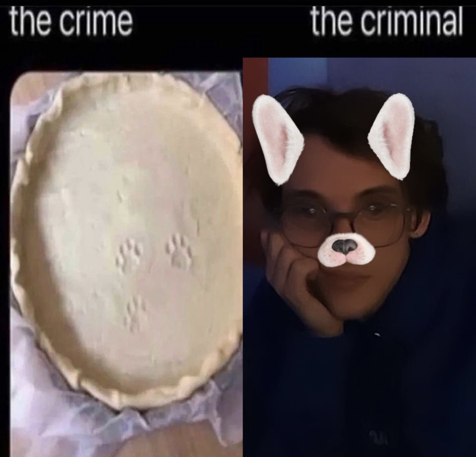 daph .ᐣ tweet media