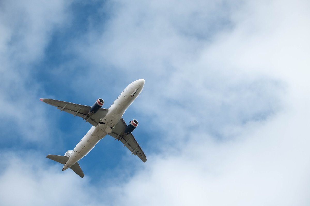 Sir Voodoo tweet media