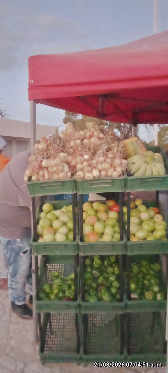 Anelys Ramírez González tweet media