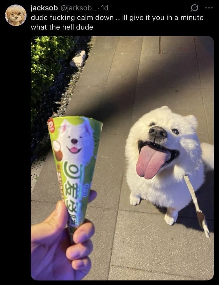 kirby 🍰 tweet media