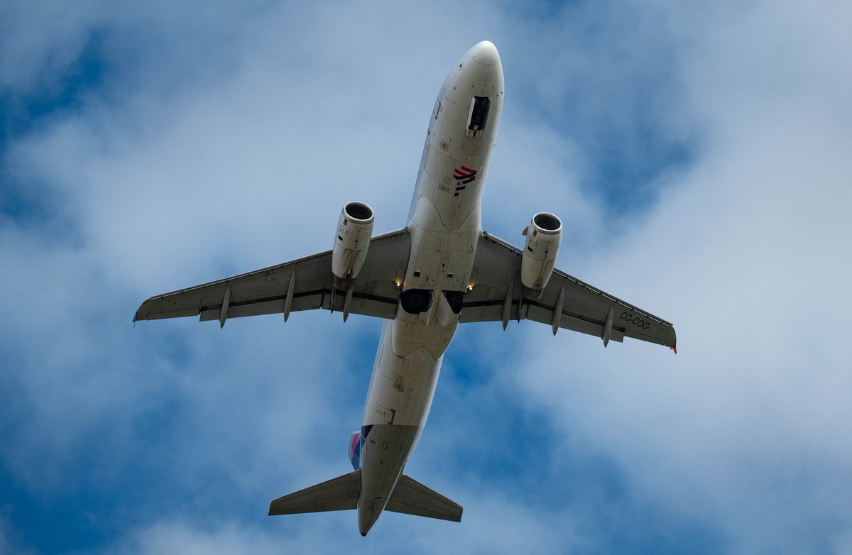 Sir Voodoo tweet media