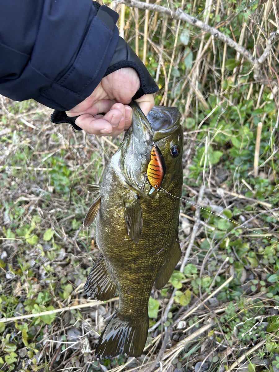 ランパードレジェンド tweet media